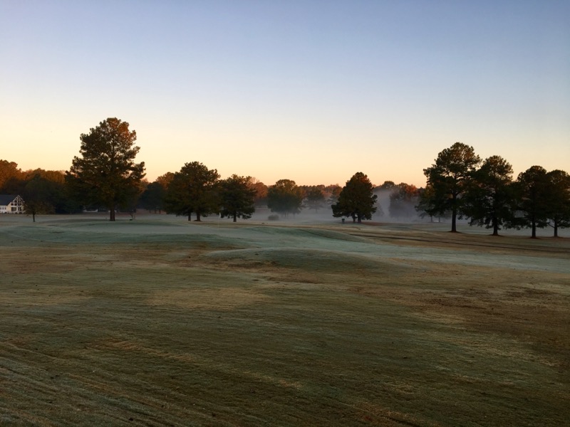 Golf course with Trees